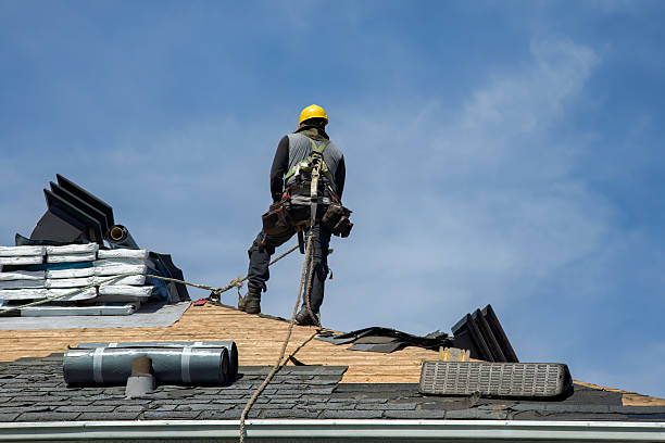 Professional Roof Replacement technician working in Copeland, FL